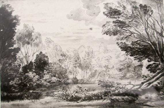 Woody Landscape with Pond