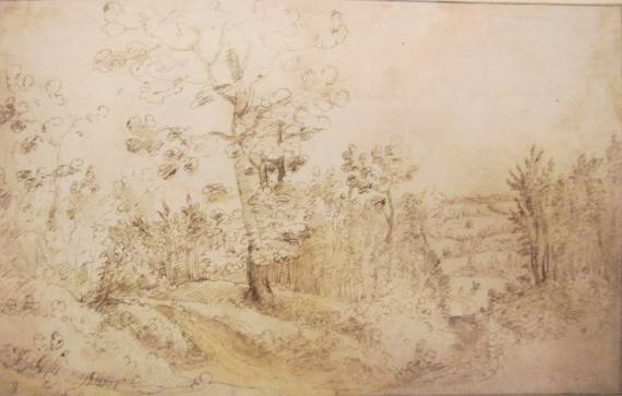 A Wooded Landscape 
