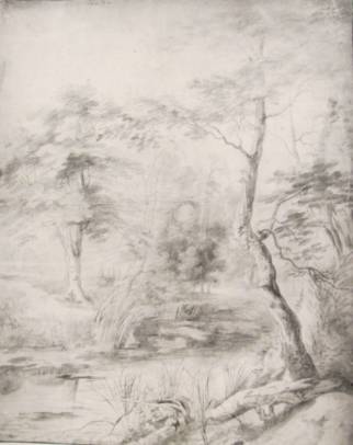 View of a Pond Surrounded by Trees