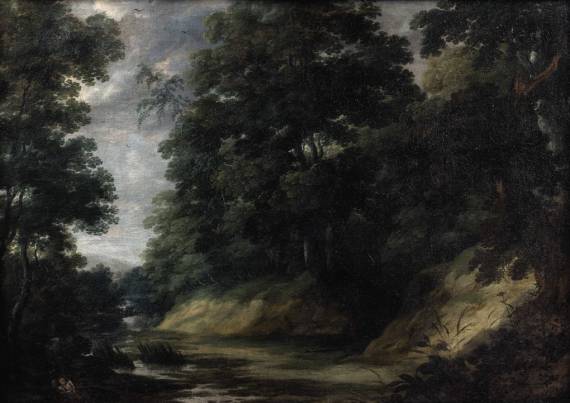 Wooded Landscape in the Soignes Forest