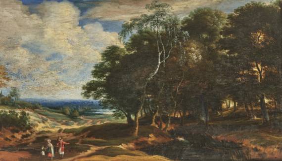 Forest Landscape in Dunes Forest Landscape in Dunes
