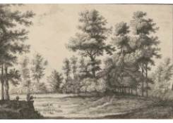 Work 1021: Wooded Landscape