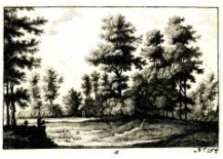 CB 1024: Wooded Landscape Work 1024: Wooded Landscape