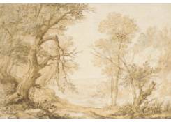 Work 1061: Wooded Landscape 