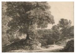 CB 1070: Wooded Landscape Work 1070: Wooded Landscape