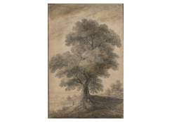 CB 1073: High Tree Work 1073: High Tree