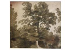CB 538: A Large Tree Work 538: A Large Tree