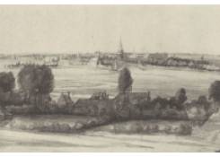Work 539: Extensive Landscape