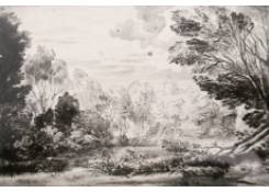 Work 568: Woody Landscape with Pond