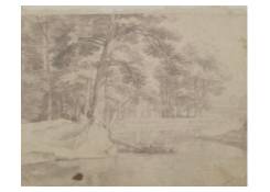 drawings CB:571 Pond surrounded by Trees