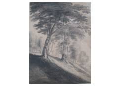 Landscape with Trees on a Slope