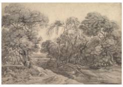 CB 590: Forest Landscape Work 590: Forest Landscape