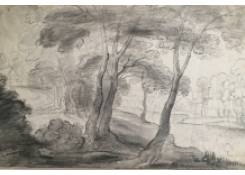 CB 825: Wooded Landscape Work 825: Wooded Landscape