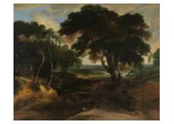 Work 891: Wooded Landscape