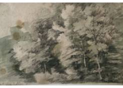 CB 945: Foliage Work 945: Foliage