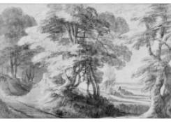 CB 948: Forest View Work 948: Forest View