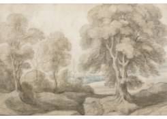 CB 954: Wooded Landscape Work 954: Wooded Landscape